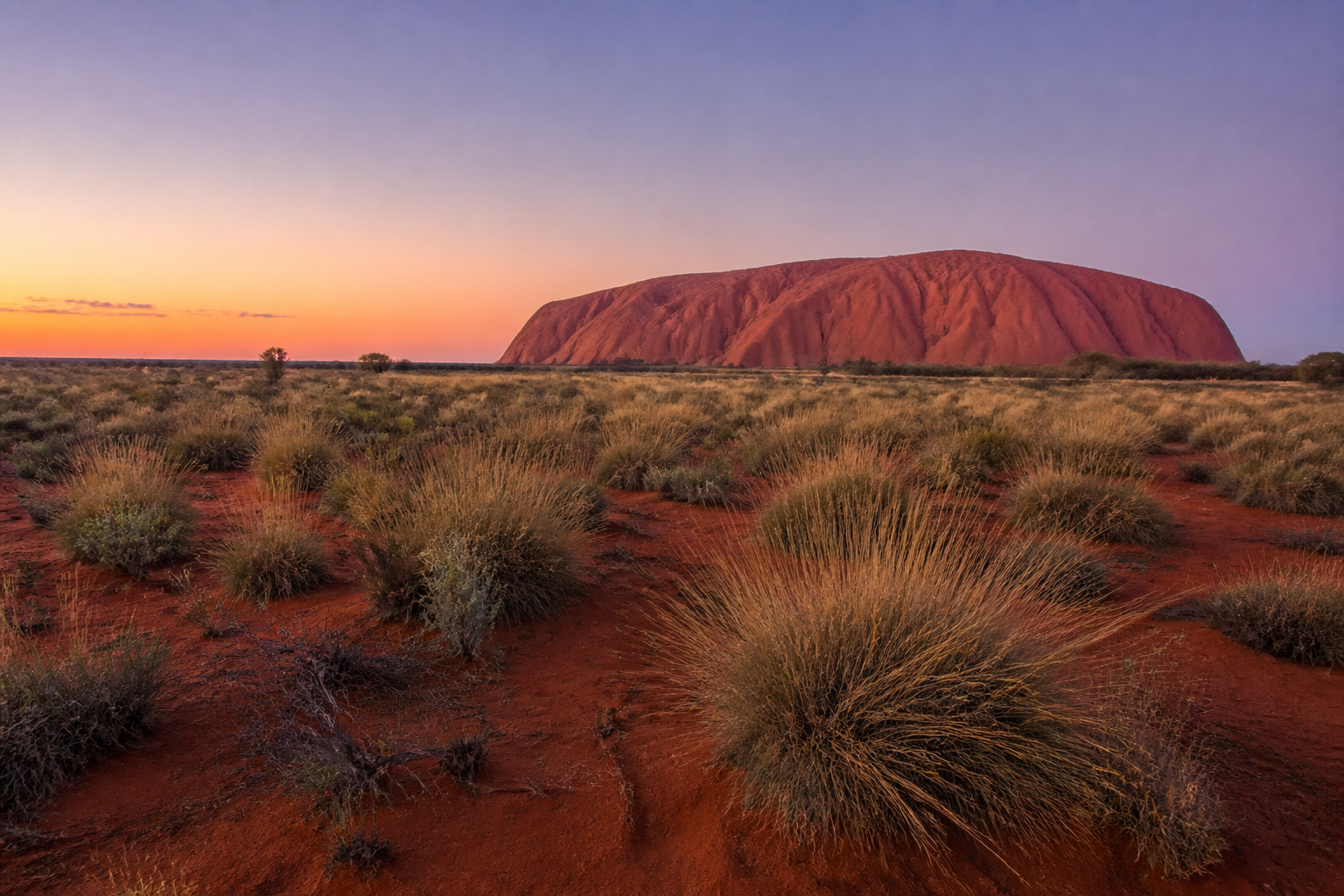 Uluru im Morgenlicht mit Spinifex-Landschaft