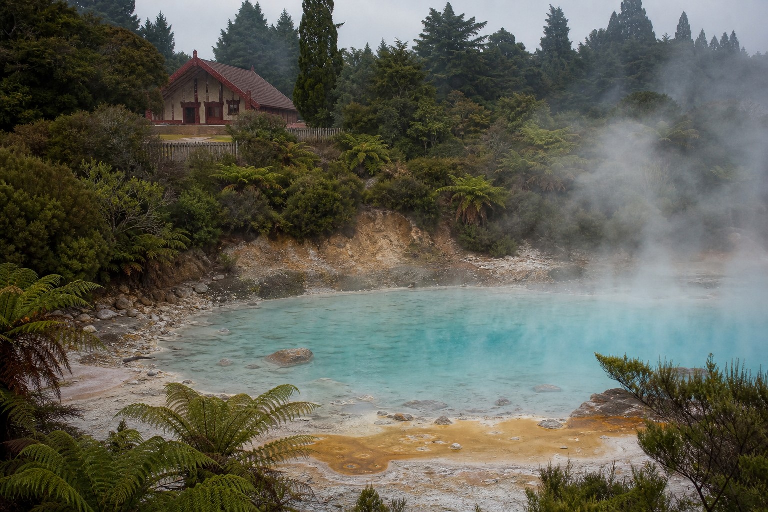 Geothermale Landschaft bei Rotorua